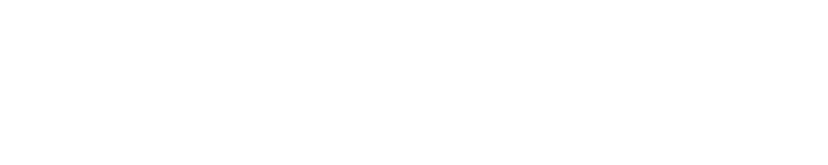 All Pro Dad logo